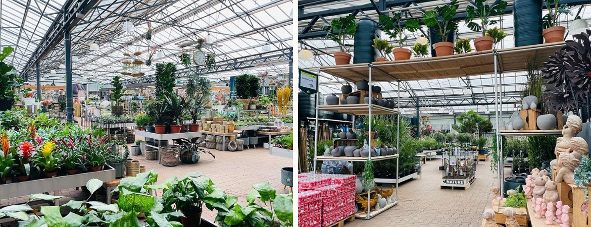 Kamerplanten kopen nabij Breda bij Tuincentrum Oosterhout