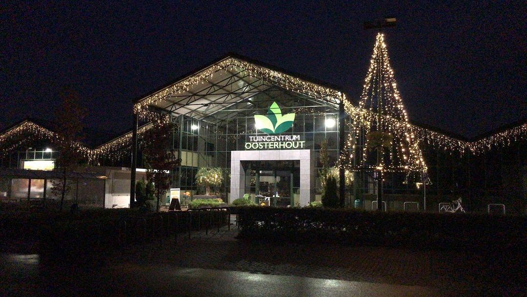 Kerstversiering en kerstverlichting kerstboom kopen Tuincentrum Oosterhout