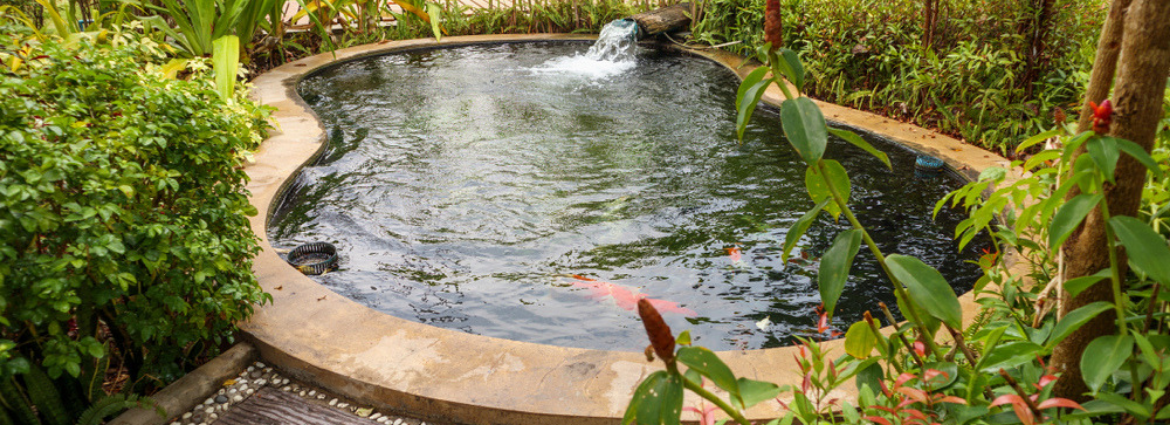 pompen-filters-vijver-groenrijk-oosterhout pompen-filters-vijver-groenrijk-oosterhout