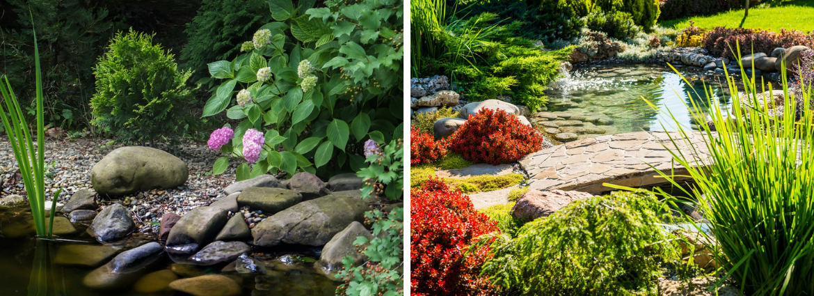 Vijveraanleg-Vijveronderhoud-GroenRijk-Oosterhout Vijveraanleg-Vijveronderhoud-GroenRijk-Oosterhout