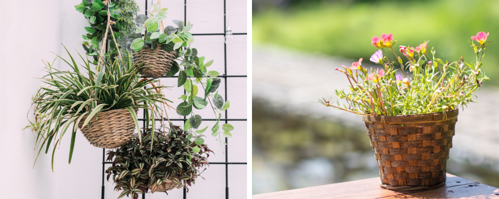 Mandwerk kopen bij GroenRijk Oosterhout Mandwerk kopen bij GroenRijk Oosterhout