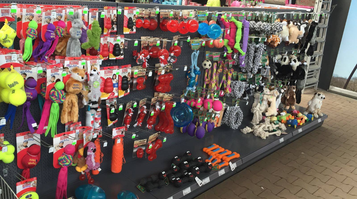 Ruime dierenwinkel nabij Raamsdonksveer Ruime dierenwinkel nabij Raamsdonksveer