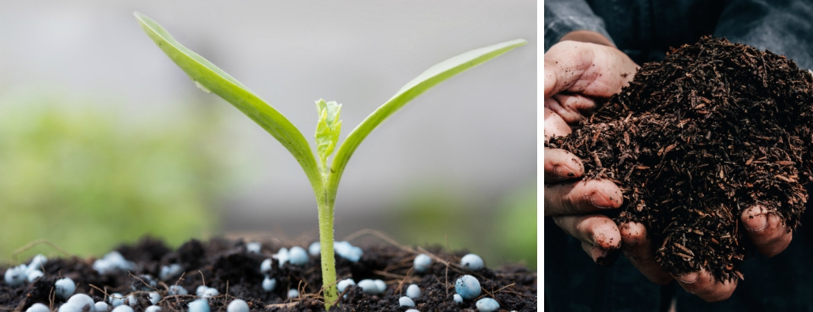 Bij GroenRijk Oosterhout vindt u diverse meststoffen Bij GroenRijk Oosterhout vindt u diverse meststoffen