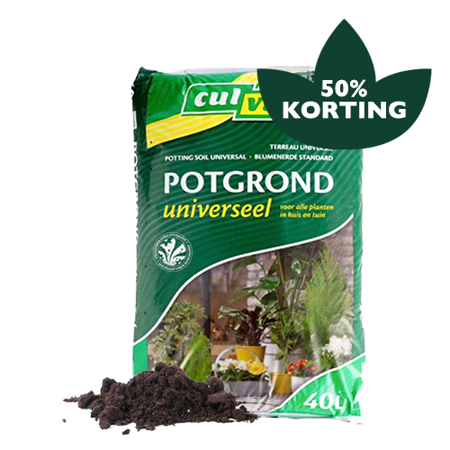 Culvita potgrond