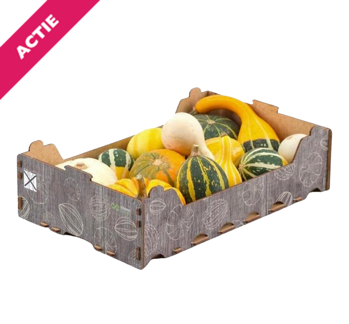 Mini kalebassen