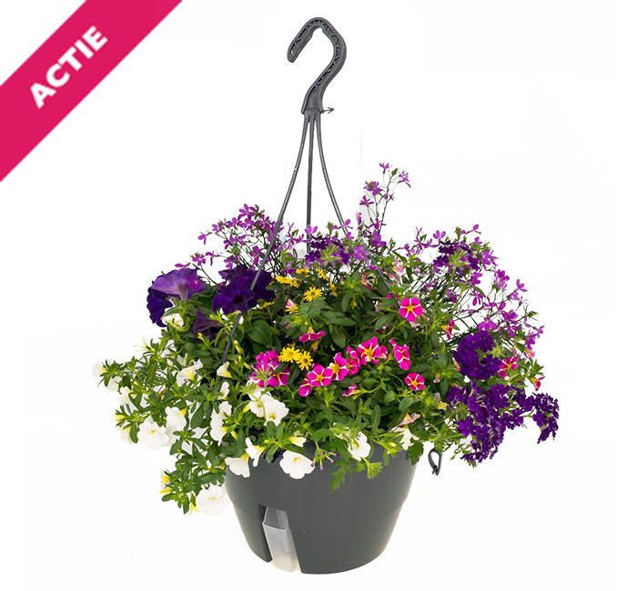 Perkgoed in hangpot