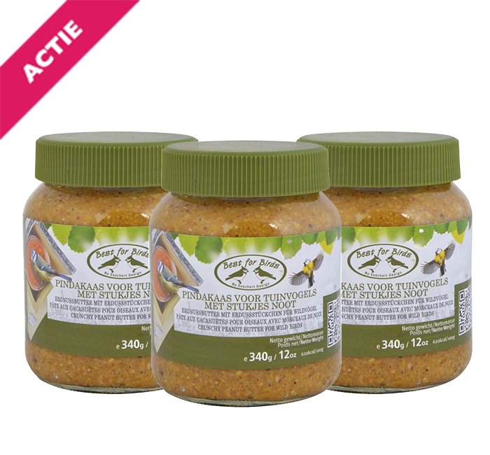 Pindakaas voor tuinvogels