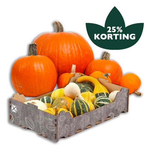 Pompoenen & Kalebassen