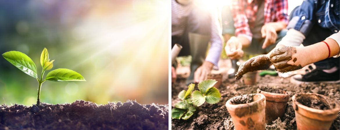 Tuincentrum Oosterhout | Moestuin | Moestuinieren