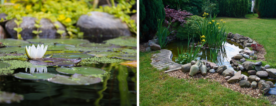 vijver-vijverpomp-vijverfilter-waterplant-oosterhout-tuincentrum vijver-vijverpomp-vijverfilter-waterplant-oosterhout-tuincentrum