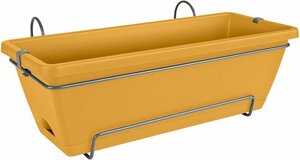 barcelona allin1 50cm honinggeel