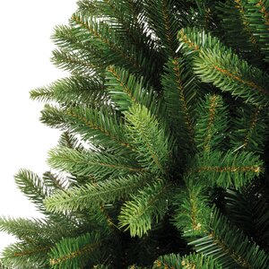 Bromont fir 210 - afbeelding 2