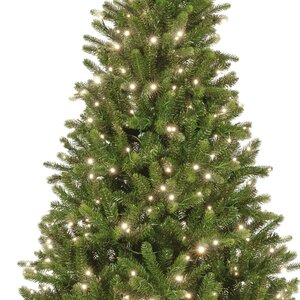 Bromont fir 210 led - afbeelding 2