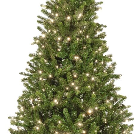 Bromont fir 240 led - afbeelding 2