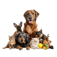 Dierenwinkel Oosterhout