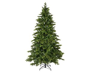 Galloway spruce 180 - afbeelding 1