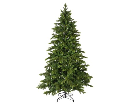 Galloway spruce 240 - afbeelding 1