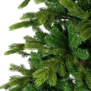 Galloway spruce 270 - afbeelding 2