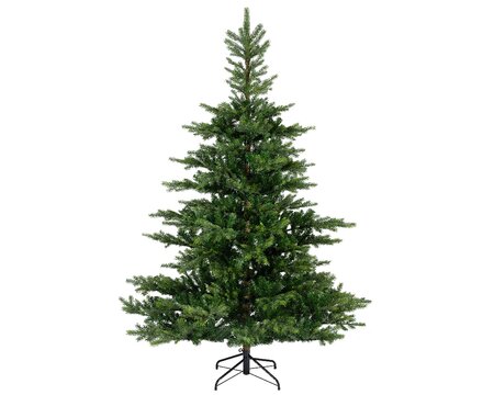 Grandis fir 150 - afbeelding 1