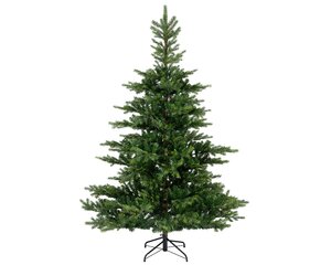 Grandis fir 150 - afbeelding 1