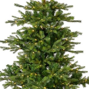 Grandis fir 180 LED - afbeelding 2