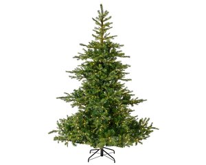 Grandis fir 180 LED - afbeelding 1