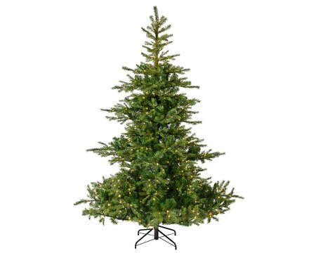 Grandis fir 210 LED - afbeelding 1
