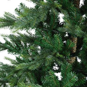 Grandis fir 300 - afbeelding 2