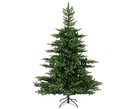 Grandis fir 360 - afbeelding 1