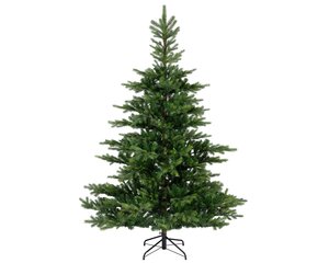 Grandis fir 360 - afbeelding 1
