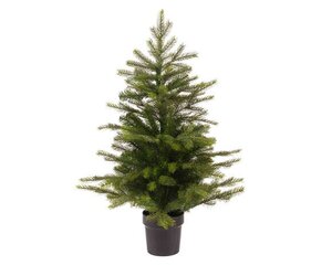 Grandis mini in pot 90cm