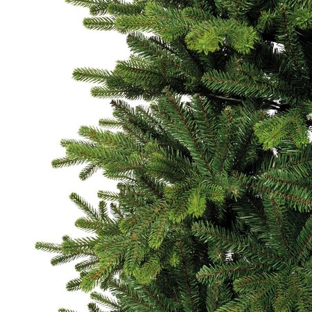 Greenland fir 180 - afbeelding 2
