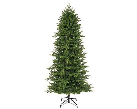 Greenland fir 180 - afbeelding 1