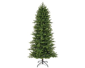 Greenland fir 180 - afbeelding 1