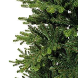 Greenland fir 210 - afbeelding 2