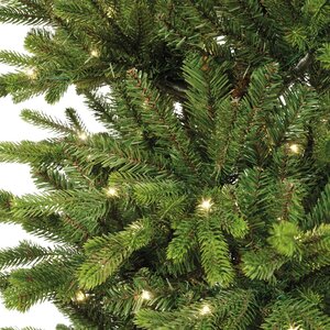 Greenland fir 210 led - afbeelding 2