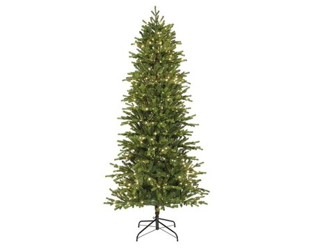 Greenland fir 240 led - afbeelding 1