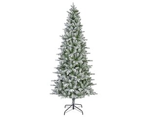 Killington fir 300