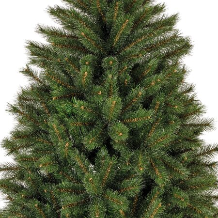 Malmö spruce 150 - afbeelding 2