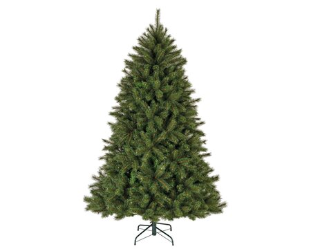 Malmö spruce 150 - afbeelding 1