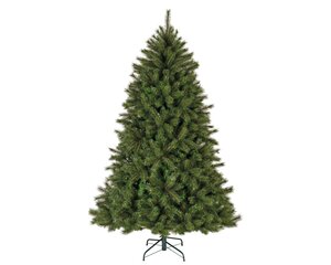 Malmö spruce 150 - afbeelding 1
