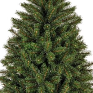 Malmö spruce pine 180 - afbeelding 2