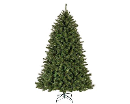 Malmö spruce pine 180 - afbeelding 1