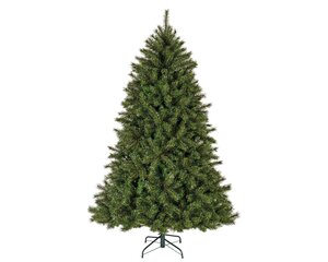 Malmö spruce pine 180 - afbeelding 1