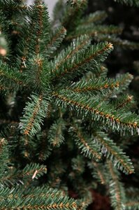 Matterhorn 215 - afbeelding 2