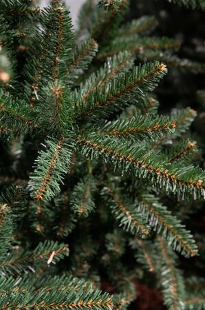 Matterhorn 230 - afbeelding 2