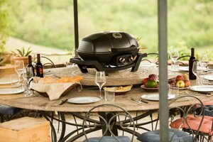 napoleon Travelq pro 285 - afbeelding 4