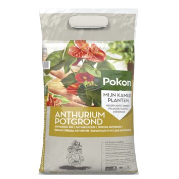Pokon anthurium 5L - afbeelding 1