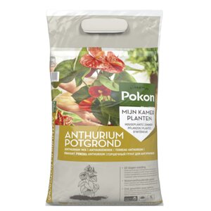 Pokon anthurium 5L - afbeelding 1