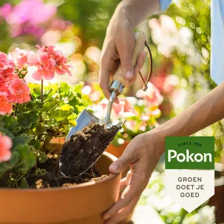 Pokon Bio Terras & Balkon Planten Potgrond 40L - afbeelding 4